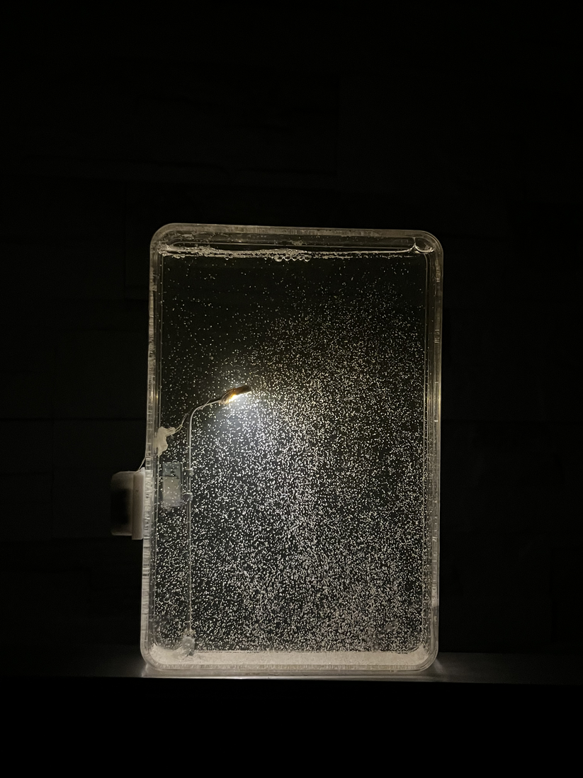 Dreamy SnowLamp